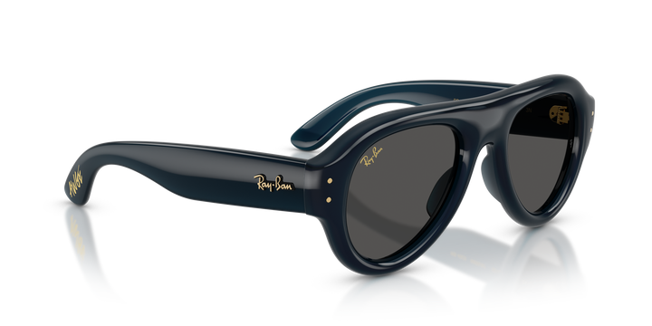 Ray Ban RB4925 Azul oscuro Traslúcido / Ultra Negro vista 4