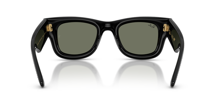 reval-sync:RB4940BP_686530_bk #color_negro-verde-plateado-plan