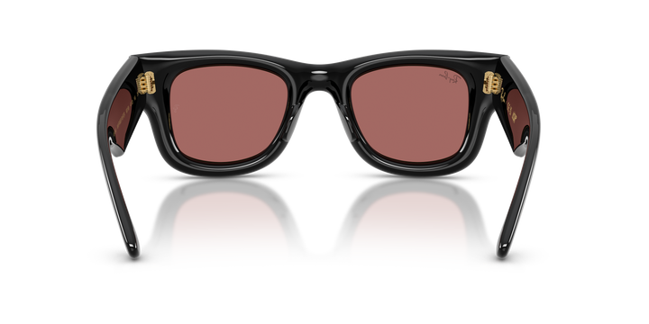 reval-myl-photo:RB4940_601_69:0rb4940_601_69_p21_shad_bk #color_negro-violeta-oscuro