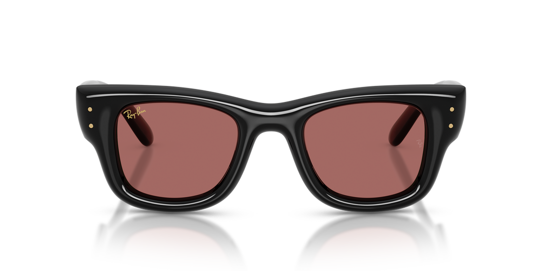 reval-myl-photo:RB4940_601_69:0rb4940_601_69_p21_shad_fr #color_negro-violeta-oscuro