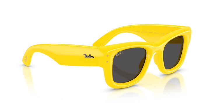 reval-myl-photo:RB4940_683087:0rb4940_683087_p21_shad_al2 #color_amarillo-ultra-negro