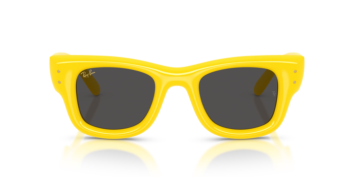 reval-myl-photo:RB4940_683087:0rb4940_683087_p21_shad_fr #color_amarillo-ultra-negro