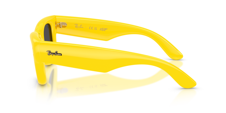 reval-myl-photo:RB4940_683087:0rb4940_683087_p21_shad_lt #color_amarillo-ultra-negro