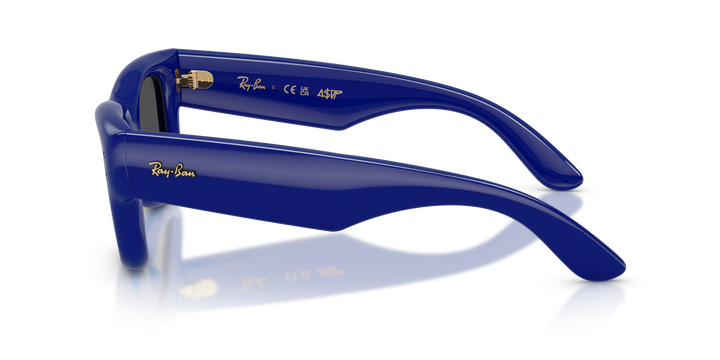reval-myl-photo:RB4940_683387:0rb4940_683387_p21_shad_lt #color_azul-ultra-negro
