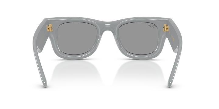 reval-myl-photo:RB4940_6876_1:0rb4940_6876_1_p21_shad_bk #color_gris-solido-gris
