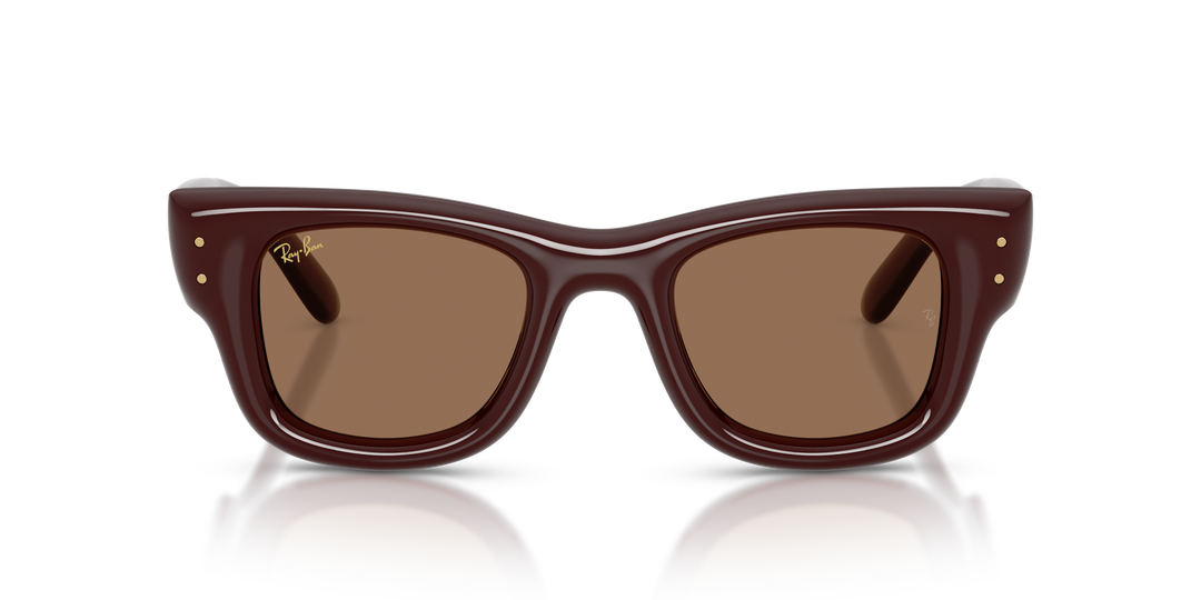 reval-myl-photo:RB4940_687773:0rb4940_687773_p21_shad_fr #color_marron-oscuro