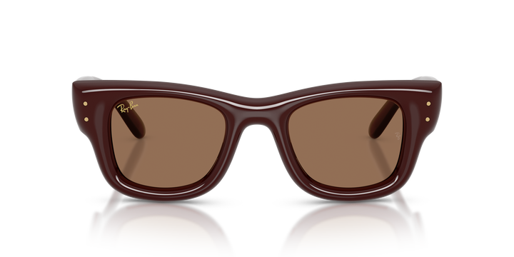 reval-myl-photo:RB4940_687773:0rb4940_687773_p21_shad_fr #color_marron-oscuro