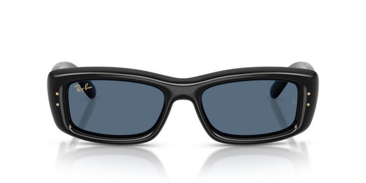 Ray Ban RB4944 Negro / Azul oscuro vista 5