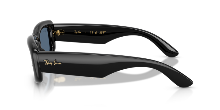 Ray Ban RB4944 Negro / Azul oscuro vista 2