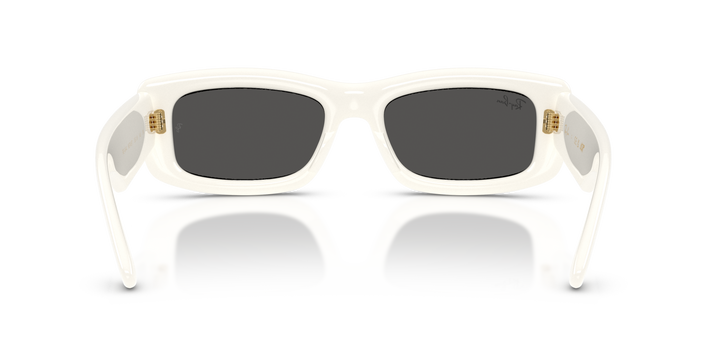 Ray Ban RB4944 Crudo sólido / Ultra Negro vista 3