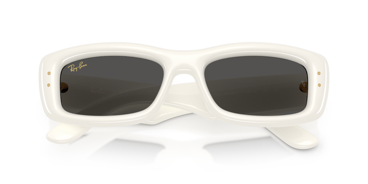 Ray Ban RB4944 Crudo sólido / Ultra Negro vista 6