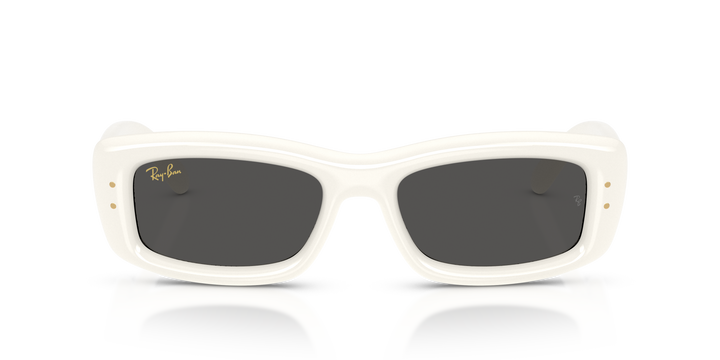Ray Ban RB4944 Crudo sólido / Ultra Negro vista 5