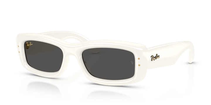 Ray Ban RB4944 Crudo sólido / Ultra Negro vista 1