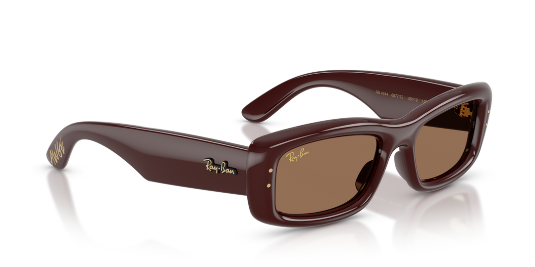 Ray Ban RB4944 Marrón oscuro Traslúcido / Marrón oscuro vista 4