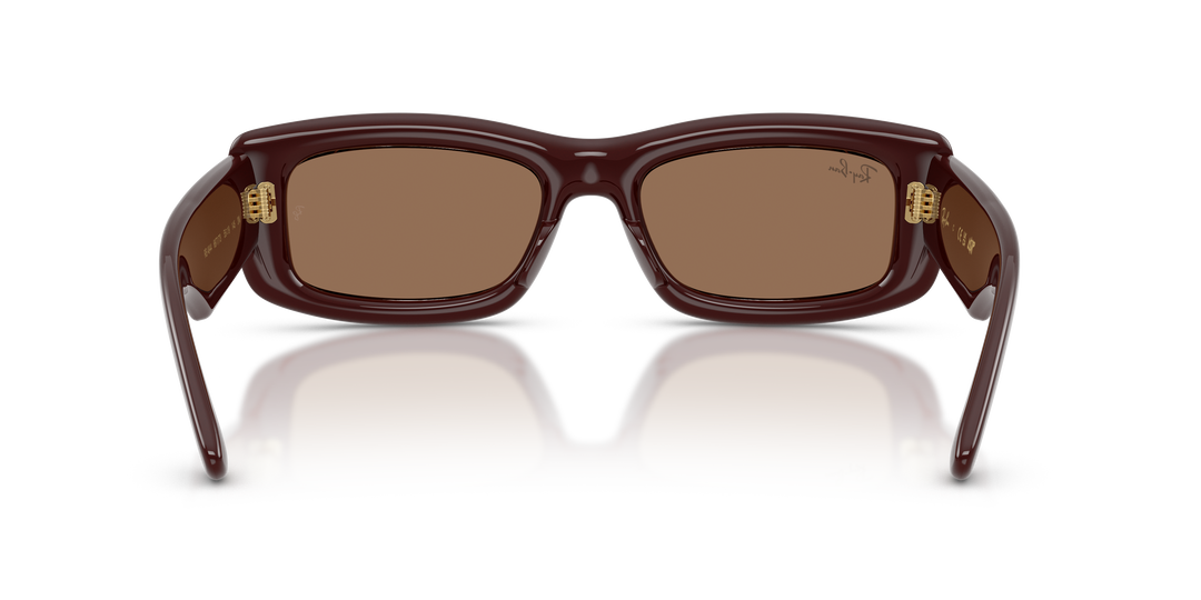 Ray Ban RB4944 Marrón oscuro Traslúcido / Marrón oscuro vista 3