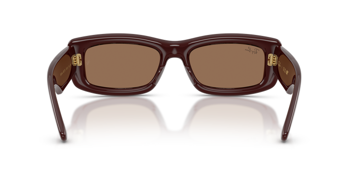 Ray Ban RB4944 Marrón oscuro Traslúcido / Marrón oscuro vista 3