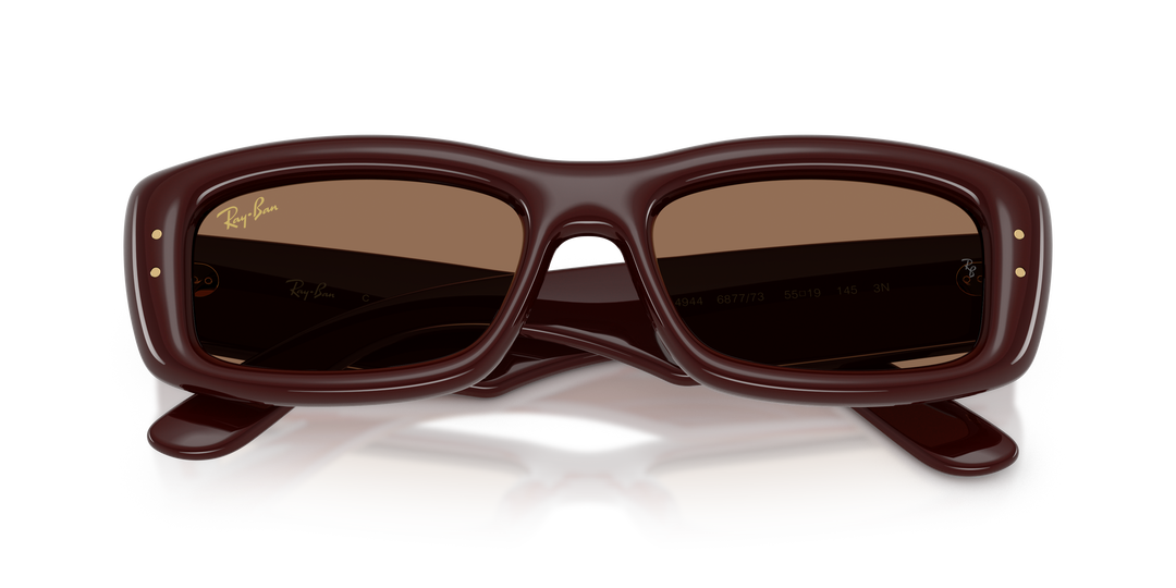 Ray Ban RB4944 Marrón oscuro Traslúcido / Marrón oscuro vista 6
