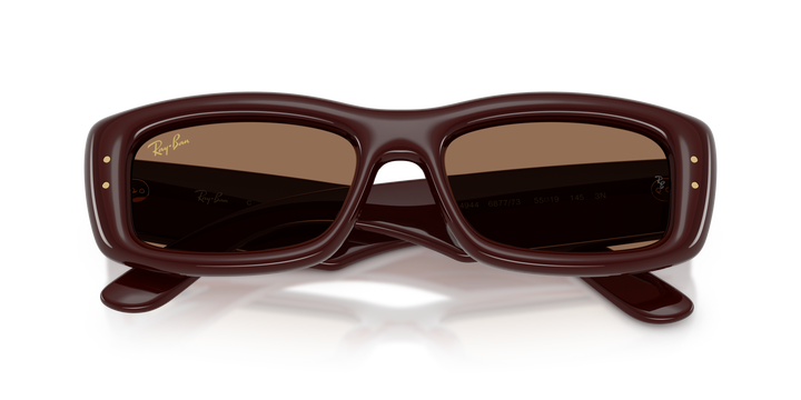 Ray Ban RB4944 Marrón oscuro Traslúcido / Marrón oscuro vista 6