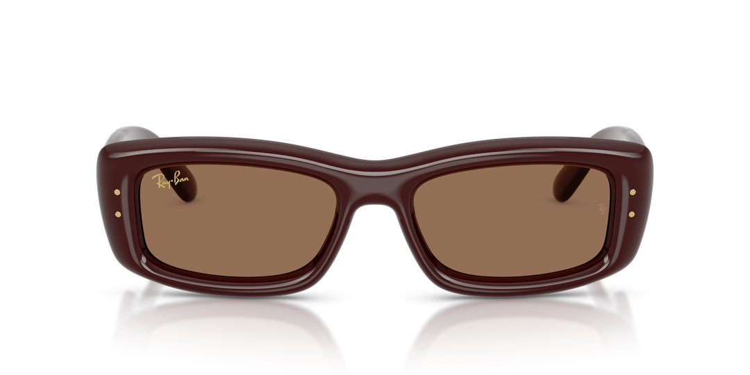 Ray Ban RB4944 Marrón oscuro Traslúcido / Marrón oscuro vista 5