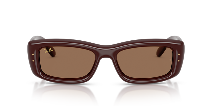 Ray Ban RB4944 Marrón oscuro Traslúcido / Marrón oscuro vista 5