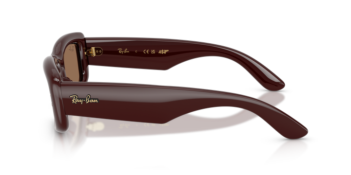Ray Ban RB4944 Marrón oscuro Traslúcido / Marrón oscuro vista 2