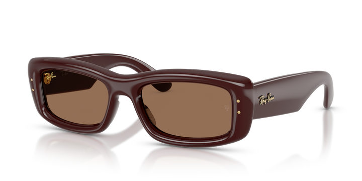 Ray Ban RB4944 Marrón oscuro Traslúcido / Marrón oscuro vista 1