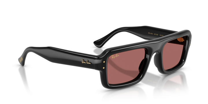 Ray Ban RB4954 Negro / Violeta oscuro vista 4