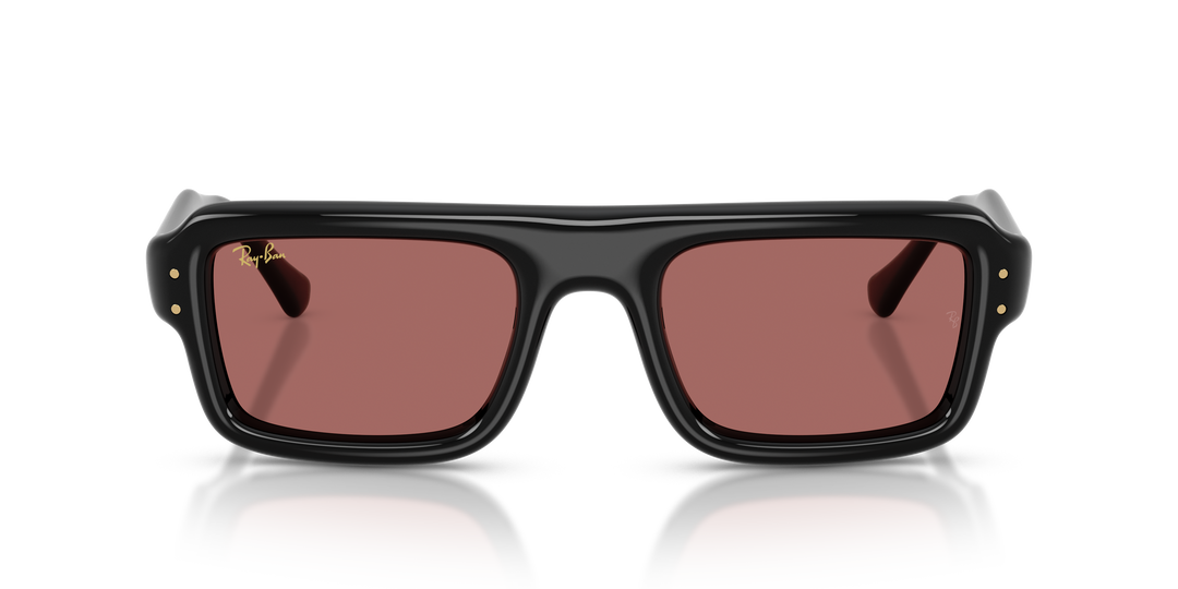 Ray Ban RB4954 Negro / Violeta oscuro vista 5