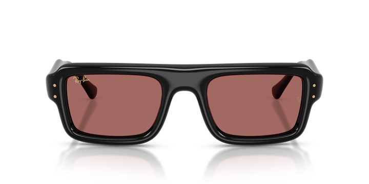 Ray Ban RB4954 Negro / Violeta oscuro vista 5