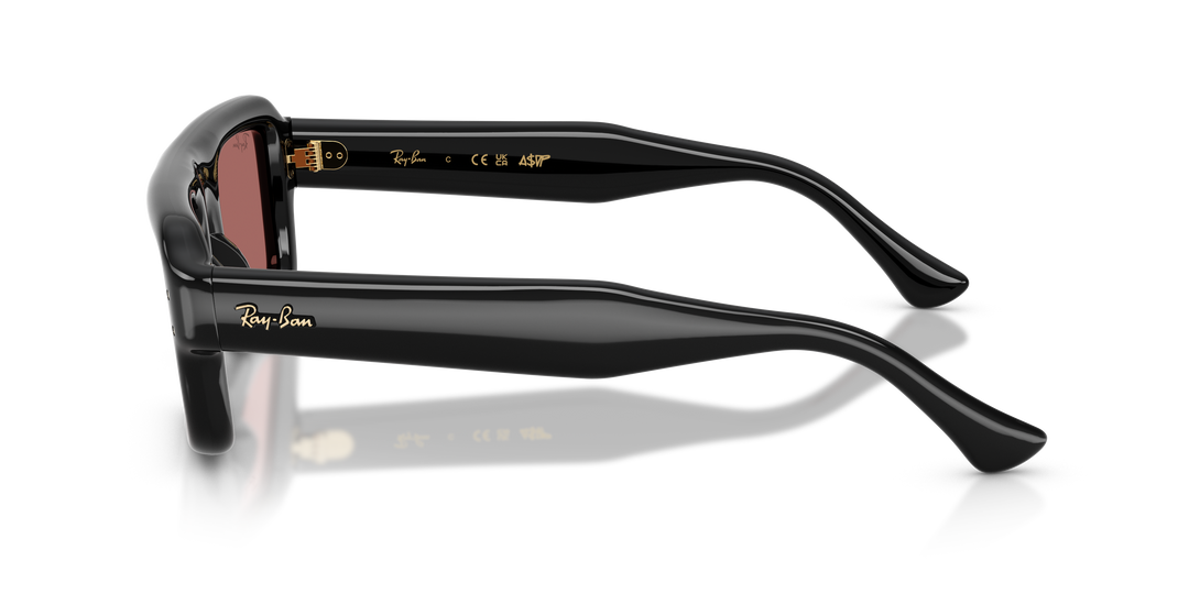 Ray Ban RB4954 Negro / Violeta oscuro vista 2