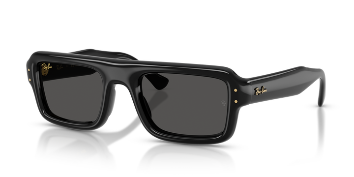 Ray Ban RB4954 Ultra Negro vista 1