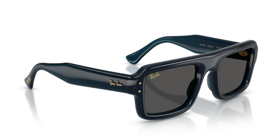 Ray Ban RB4954 Azul oscuro Traslúcido / Ultra Negro vista 4