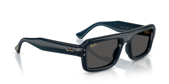 Ray Ban RB4954 Azul oscuro Traslúcido / Ultra Negro vista 4