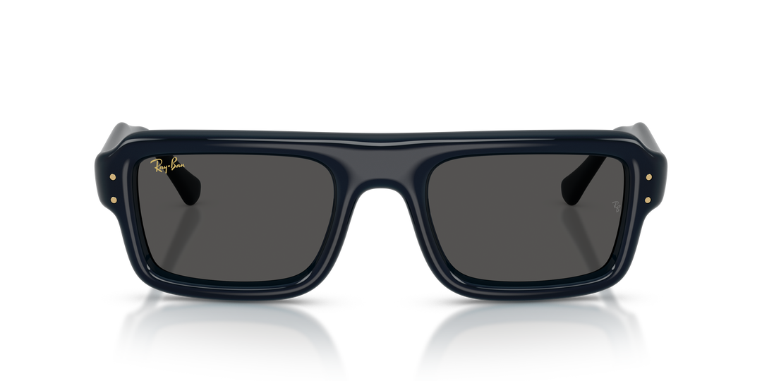 Ray Ban RB4954 Azul oscuro Traslúcido / Ultra Negro vista 5