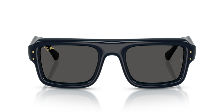 Ray Ban RB4954 Azul oscuro Traslúcido / Ultra Negro vista 5