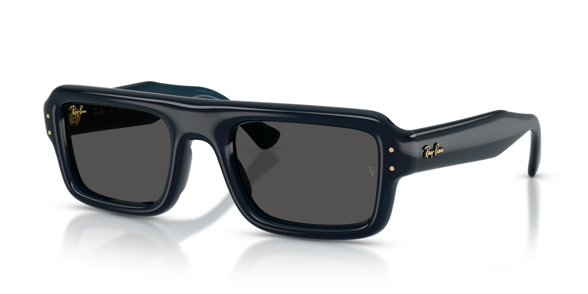 RAY BAN PUFFER RB4954 · 52mm / Azul oscuro Traslúcido / Ultra Negro