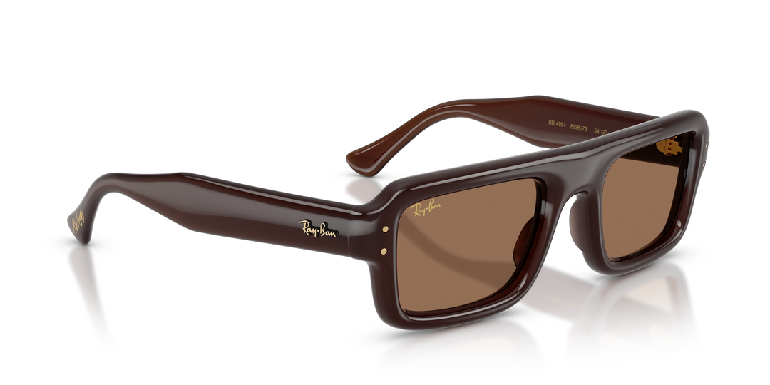 Ray Ban RB4954 Marrón oscuro Traslúcido / Marrón oscuro vista 4