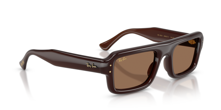 Ray Ban RB4954 Marrón oscuro Traslúcido / Marrón oscuro vista 4