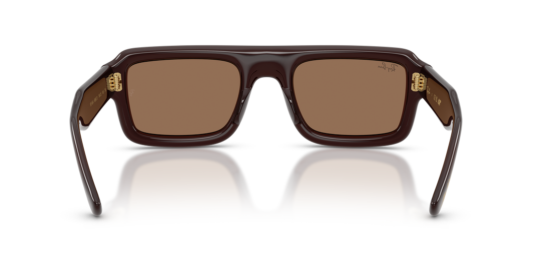Ray Ban RB4954 Marrón oscuro Traslúcido / Marrón oscuro vista 3