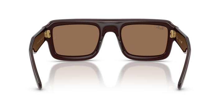 Ray Ban RB4954 Marrón oscuro Traslúcido / Marrón oscuro vista 3