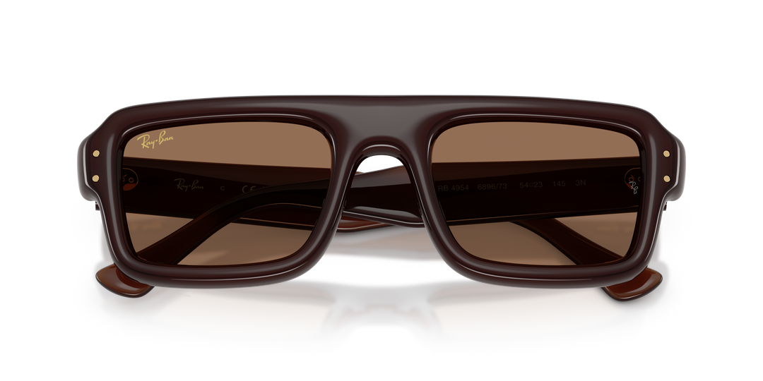 Ray Ban RB4954 Marrón oscuro Traslúcido / Marrón oscuro vista 6