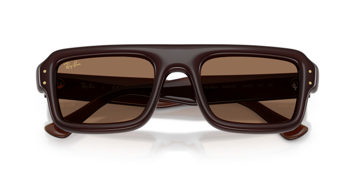 Ray Ban RB4954 Marrón oscuro Traslúcido / Marrón oscuro vista 6