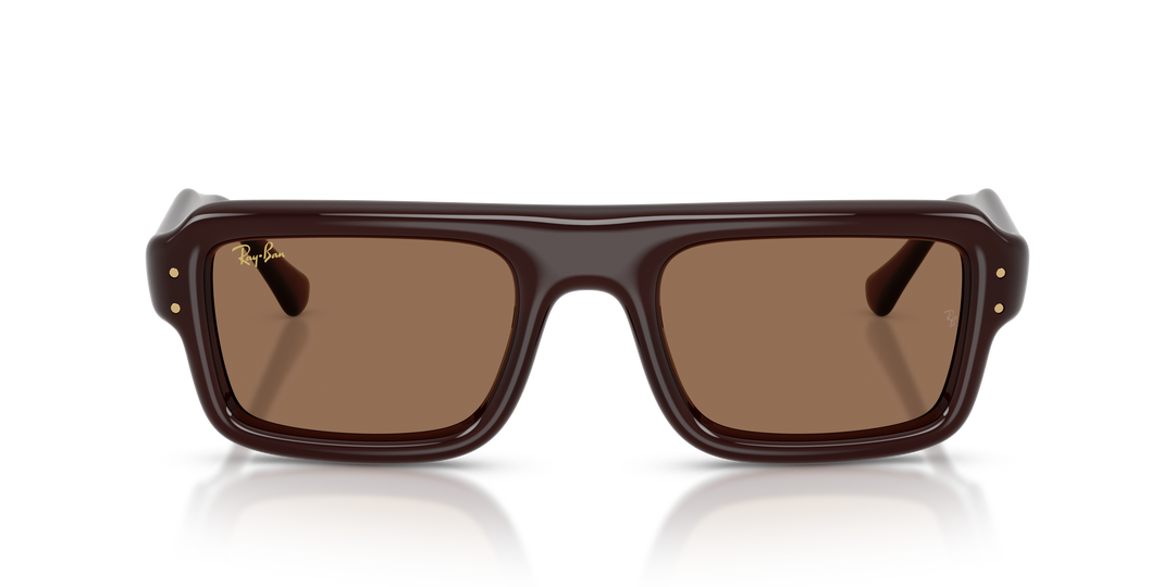 Ray Ban RB4954 Marrón oscuro Traslúcido / Marrón oscuro vista 5