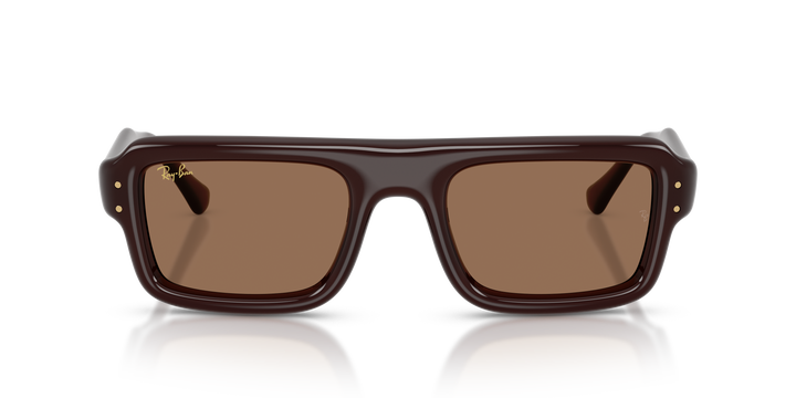 Ray Ban RB4954 Marrón oscuro Traslúcido / Marrón oscuro vista 5