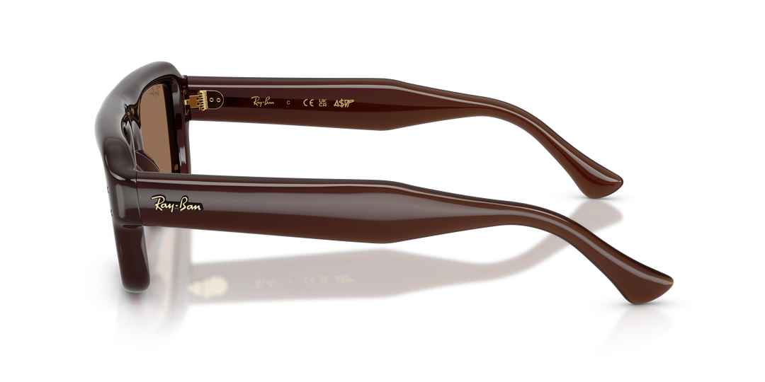 Ray Ban RB4954 Marrón oscuro Traslúcido / Marrón oscuro vista 2