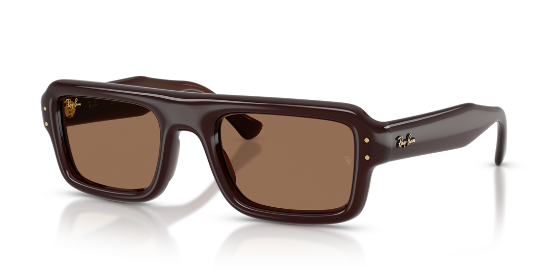 Ray Ban RB4954 Marrón oscuro Traslúcido / Marrón oscuro vista 1
