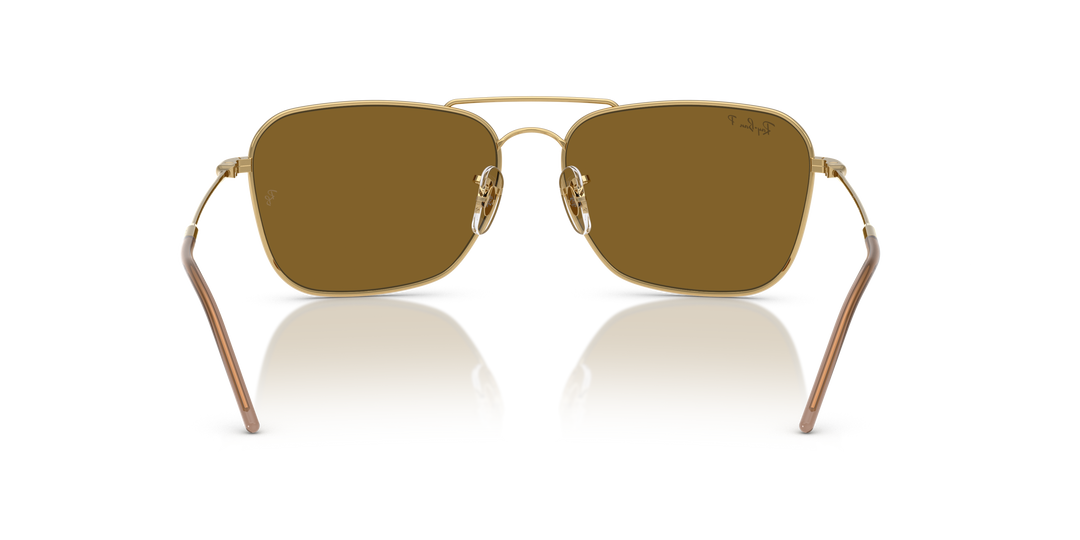 reval-myl-photo:RBR0102S_001_83:0rbr0102s_001_83_p21_shad_bk #color_oro-arista-dark-marron