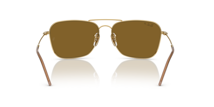 reval-myl-photo:RBR0102S_001_83:0rbr0102s_001_83_p21_shad_bk #color_oro-arista-dark-marron