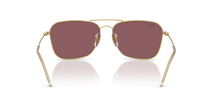 reval-myl-photo:RBR0102S_001_LB:0rbr0102s_001_lb_p21_shad_bk #color_oro-arista-rosa