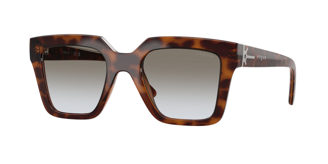 reval-sync:VO5690S_23868G